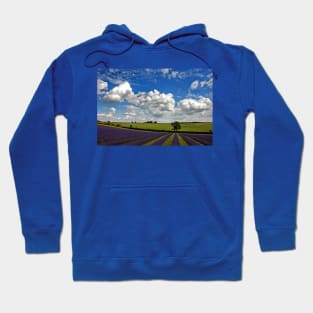 Lavender Field Purple Flowers Cotswolds England Hoodie